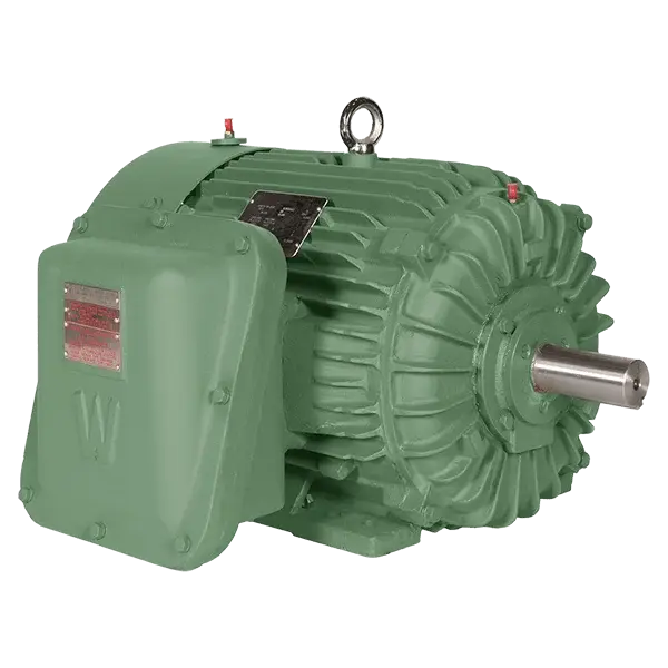 WorldWide Electric IXPEWWE Series explosion proof motor, rigid-base TEXP enclosure