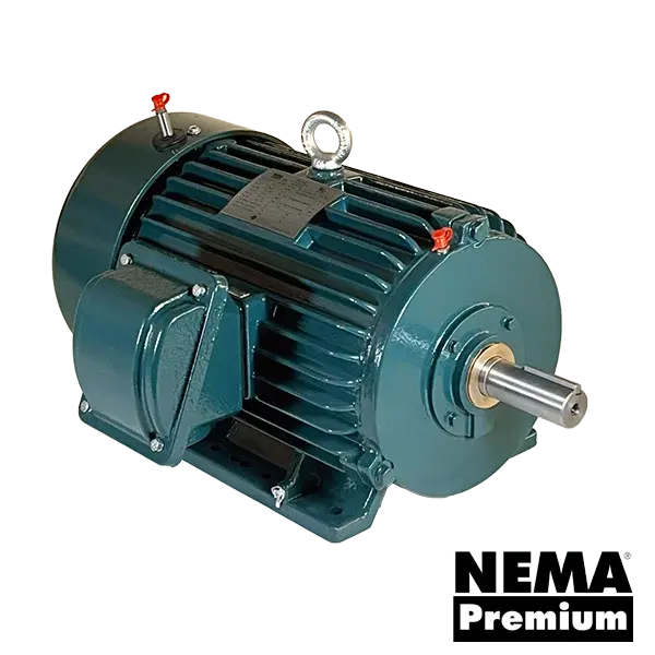 WorldWide Electric Louis Allis LAIE Series IEEE 841 severe duty motor, cast-iron TEFC enclosure