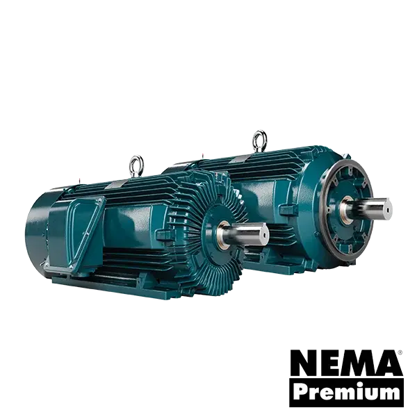 WorldWide Electric Louis Allis IEEE 841 motor showing cast-iron frame and severe-duty construction